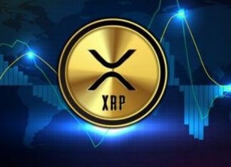 đào xrp