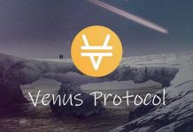 Venus là gì và có nên giao dịch XVS coin?