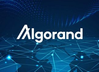 ALGO coin là gì? Những thông tin quan trọng và cần thiết ALGO coin