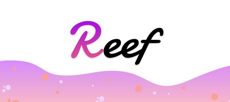defi coin reef