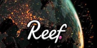 defi coin reef