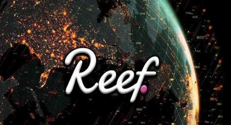 defi coin reef