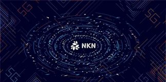 Quá trình phát triển của NKN coin