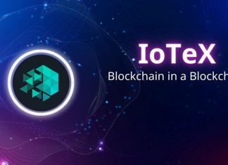 Testnet là gì? Tầm quan trọng và cách hoạt động của Testnet Giới thiệu về dự án Tex coin là gì?
