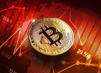 Bitcoin và thời kỳ khủng hoảng trầm trọng