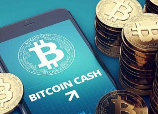 Ví Bitcoin cash là gì? Cách lưu trữ và hướng dẫn tạo ví Lưu trữ ở ví Bitcoin cash