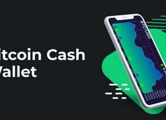 Đào Bitcoin Cash có sinh lời được hay không?