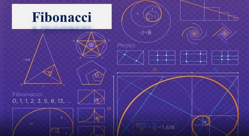 Dãy số Fibonacci trong toán học.