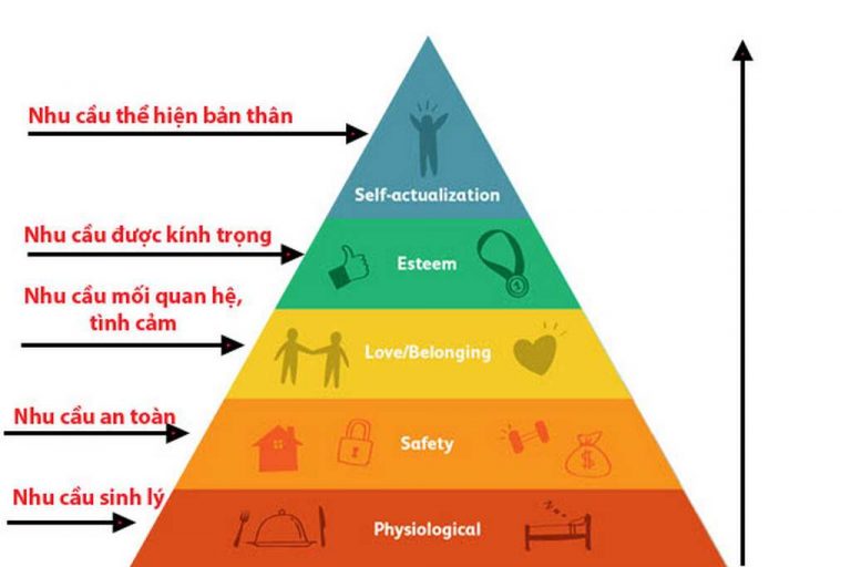 Maslow tháp là gì? Cách phân biệt và ý nghĩa như thế nào