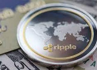 XRP wallet là gì? Cách hoạt động và mục tiêu giải quyết Có mấy loại ví XPR wallet?