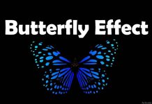 hiệu ứng cánh bướm là gì